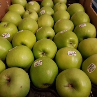 Zelená jablka odrůdy Granny Smith