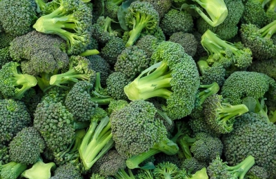 Brokolice stonková