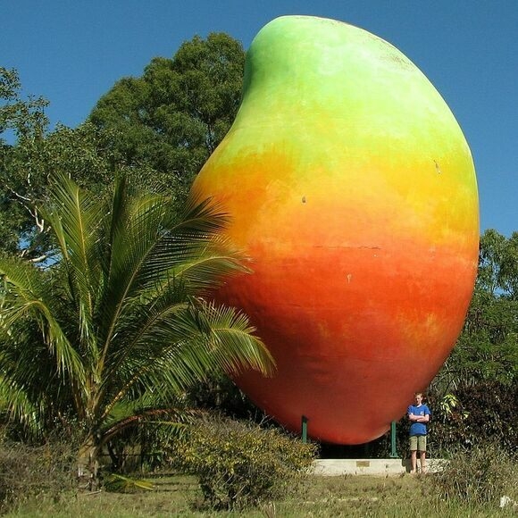 Největší mango
