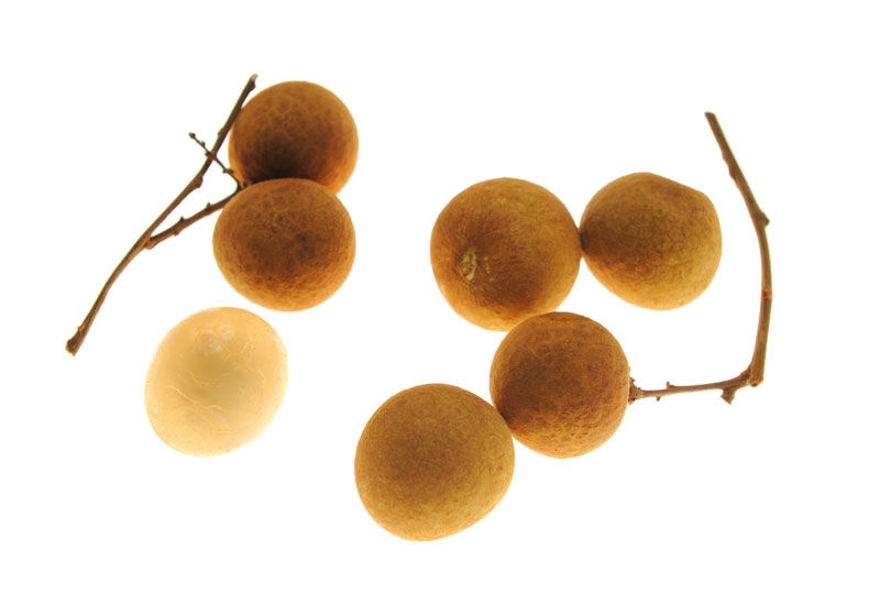 Longan 