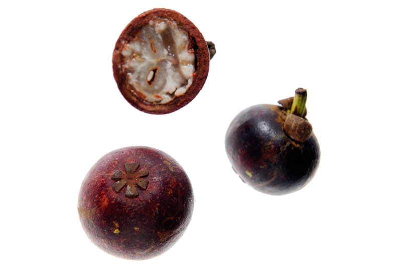 Mangostan 